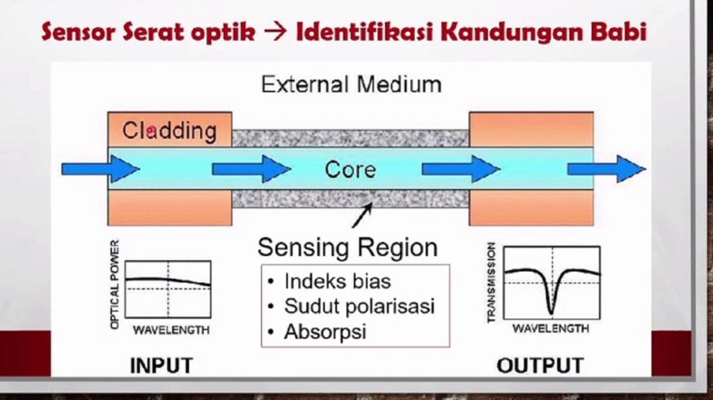 Cara kerja area sensor dalam mendeteksi kandungan babi dalam produk makanan