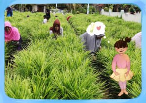 Bantu Tingkatkan Wisata, ITS Buat Video Sistem Penanaman Virtual
