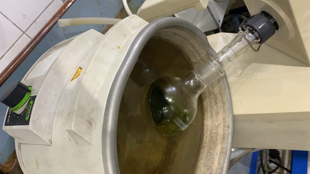 Ekstrak kulit mangga yang sedang melalui proses penguapan menggunakan evaporator