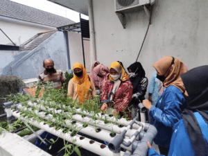 ITS Sosialisasikan Akuaponik Sebagai Upaya Pemberdayaan Masyarakat