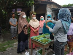 KKN ITS Bantu Tingkatkan Ketahanan Pangan melalui Hidroponik