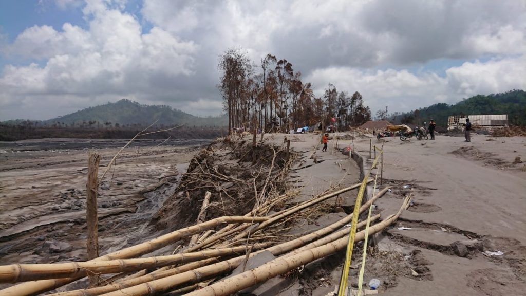Pohon terbakar dan tumbang akibat awan panas di Dusun Umbulan, Desa Supiturang, Lumajang