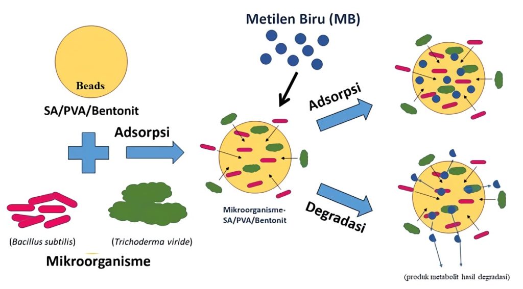 Ilustrasi kultur campuran jamur dan bakteri sebagai bahan dasar pembuatan super-adsorpsi untuk biodegradasi limbah industri