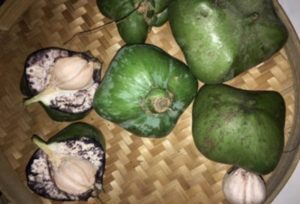 Analisis kondisi buah butun yang akan ditargetkan menjadi objek penelitian anestesi terhadap survival rate ikan kerapu cantang