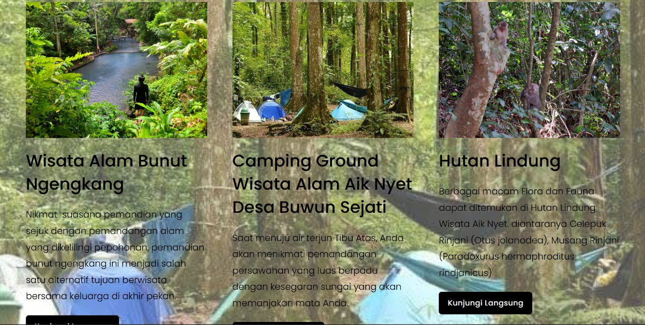 Beberapa macam kegiatan wisata di Desa Buwun Sejati yang ditampilkan pada website sekawansejati.com