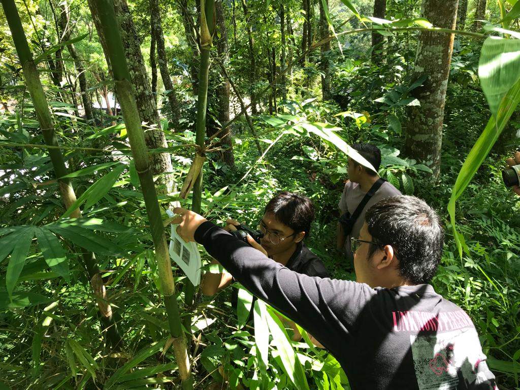 Beberapa tim KKN Abmas ITS sedang mengobservasi jenis-jenis bambu di arboretum Boonpring di Desa Sanankerto, Kabupaten Malang