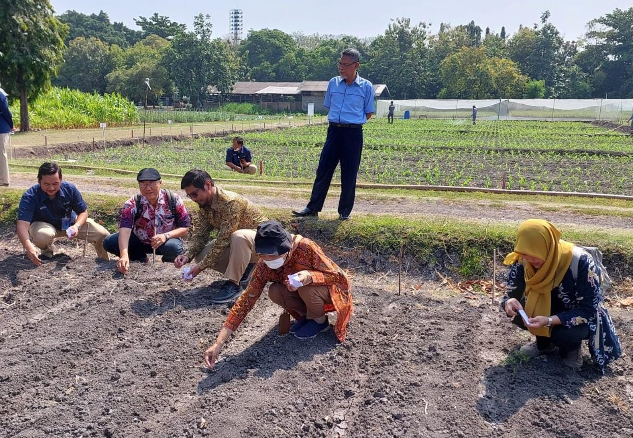 Proses pengenalan dan penanaman awal bibit sorgum oleh anggota konsorsium yang didampingi oleh Vice President Riset PT Petrokimia Gresik Mohammad Armi Kurnia (berdiri)