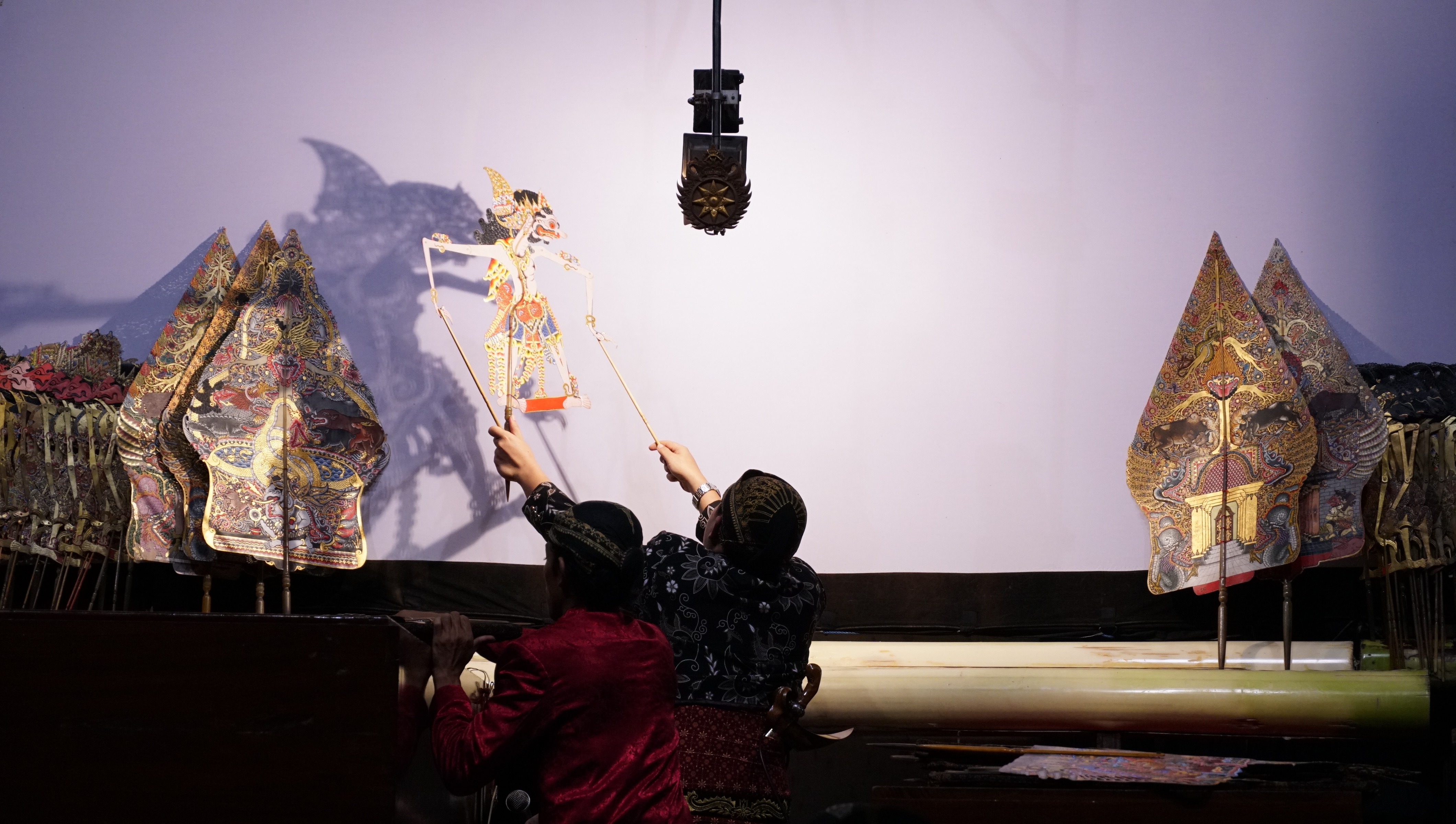 Yalangoch erkak mushuklarning fotosuratlari