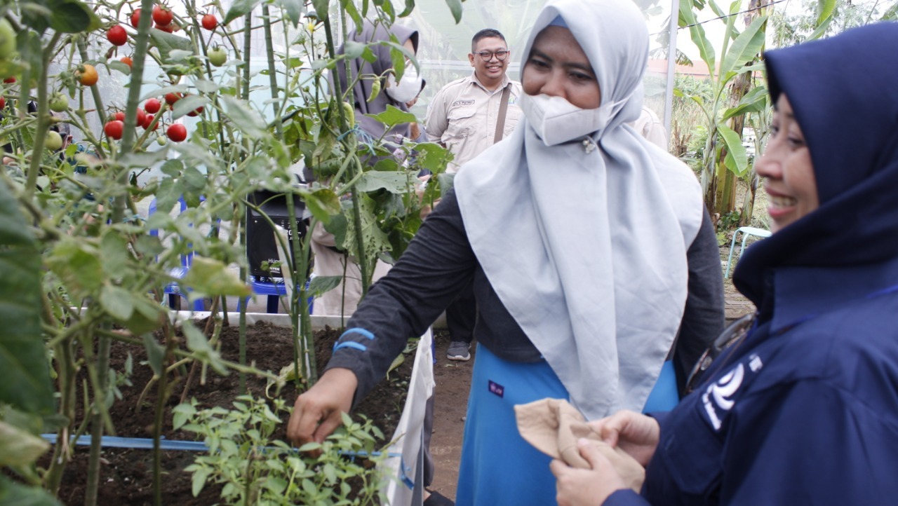 Sekretaris ITS Dr Umi Laili Yuhana SKom MSc (kanan) bersama salah sagu peserta S Kamilia Aziz ST MT saat memetik hasil tanamannya di Greenhouse Urban Farming ITS