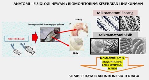 Pemanfaatan sumber daya ikan dalam peran biomonitoring kesehatan lingkungan perairan