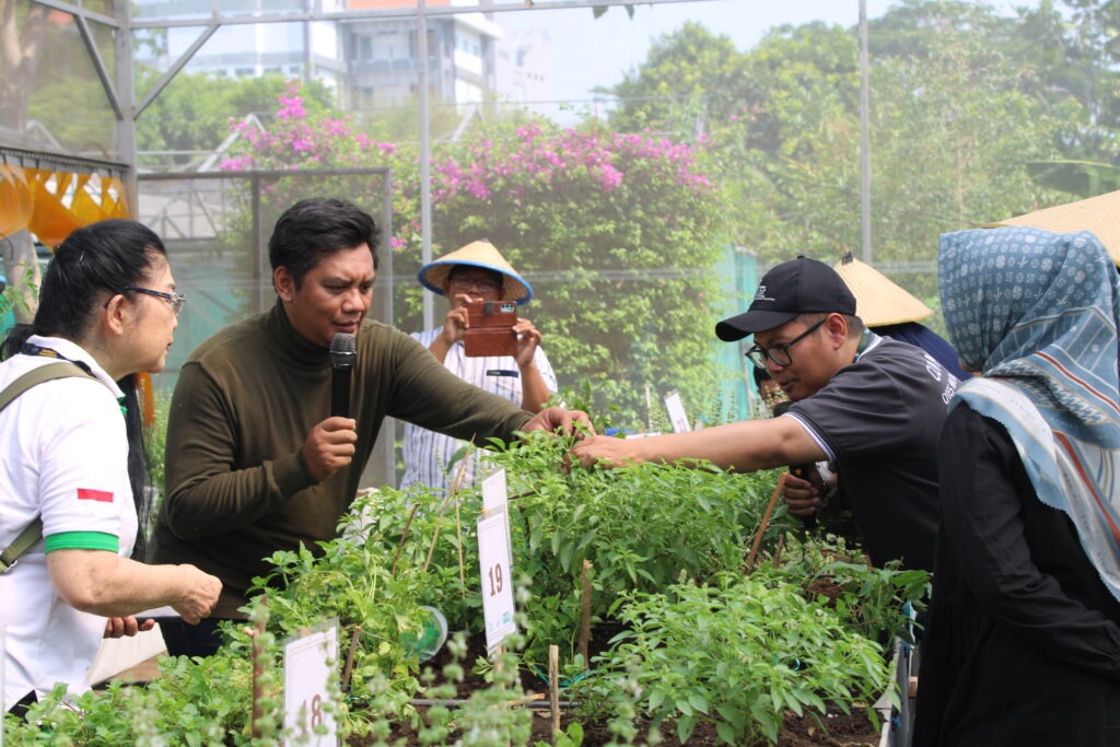 Gambar panen hasil tanam kegiatan tandur race