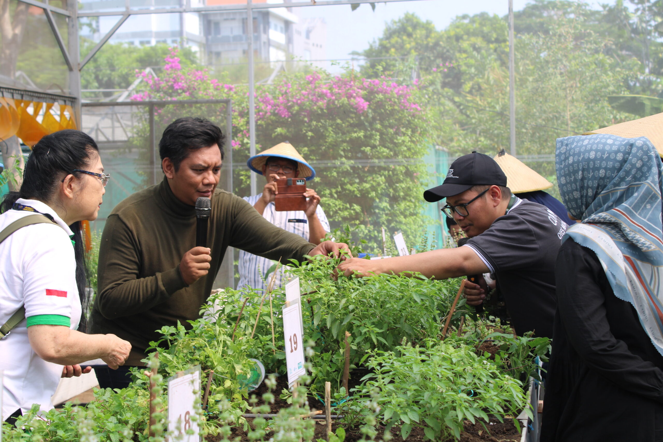 Gambar panen hasil tanam kegiatan tandur race