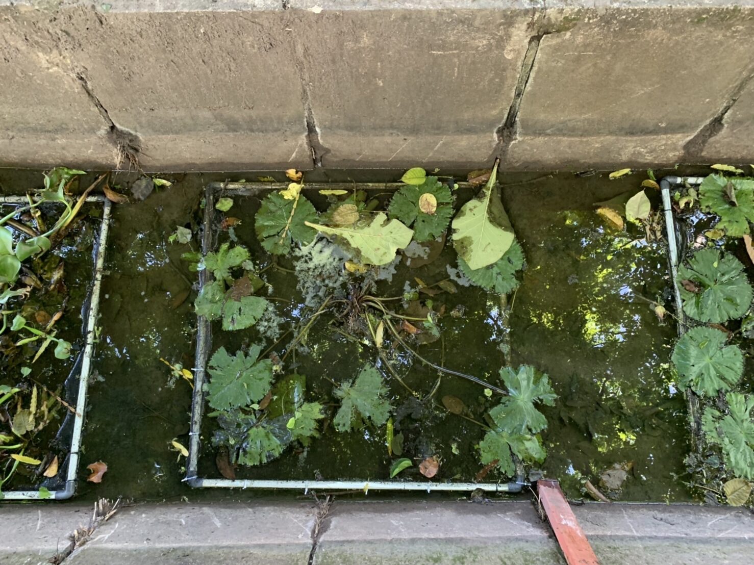 Floating wetland yang sudah siap digunakan