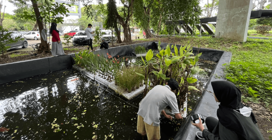 Mahasiswa KKN ABMAS membuat floating wetland