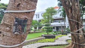 Pindai QR Code, Kenali Pohon-Pohon di ITS