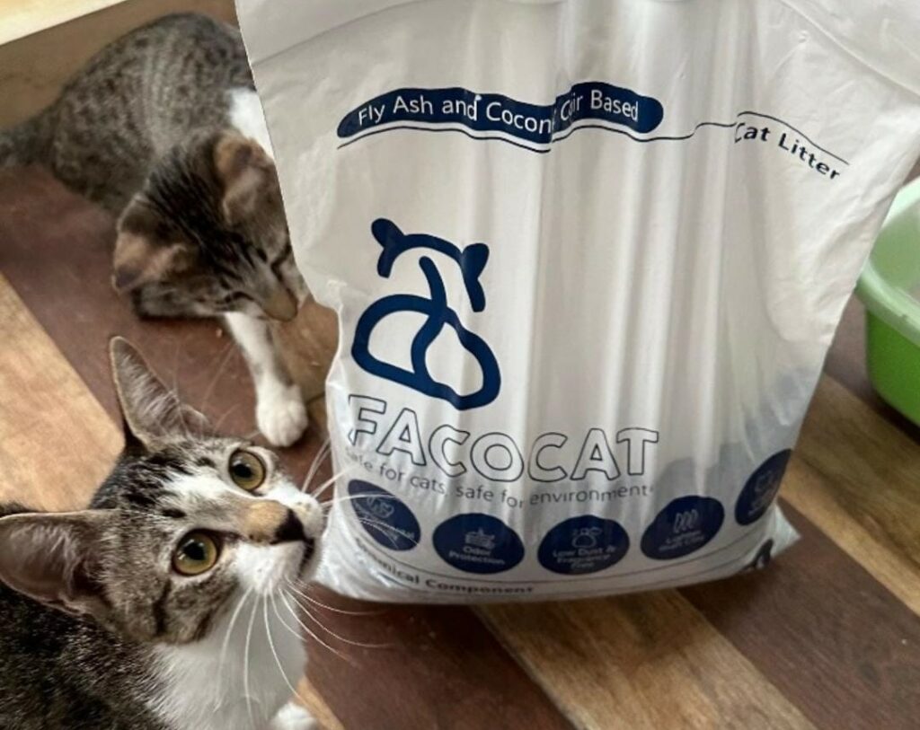 Inovasi Facocat, pasir kucing ramah lingkungan berbahan dasar fly ash dan arang aktif besutan tim mahasiswa ITS