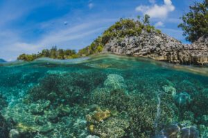 Indonesia Tak Terdampak Gelombang Panas ASEAN, Laut Jadi Kuncinya?