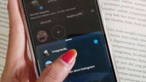 Second Account, Fenomena Ruang Pribadi di Dunia Publik