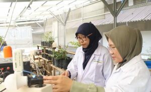 Manfaatkan Lumpur Sidoarjo, Mahasiswa ITS Kembangkan Energi Listrik Alternatif