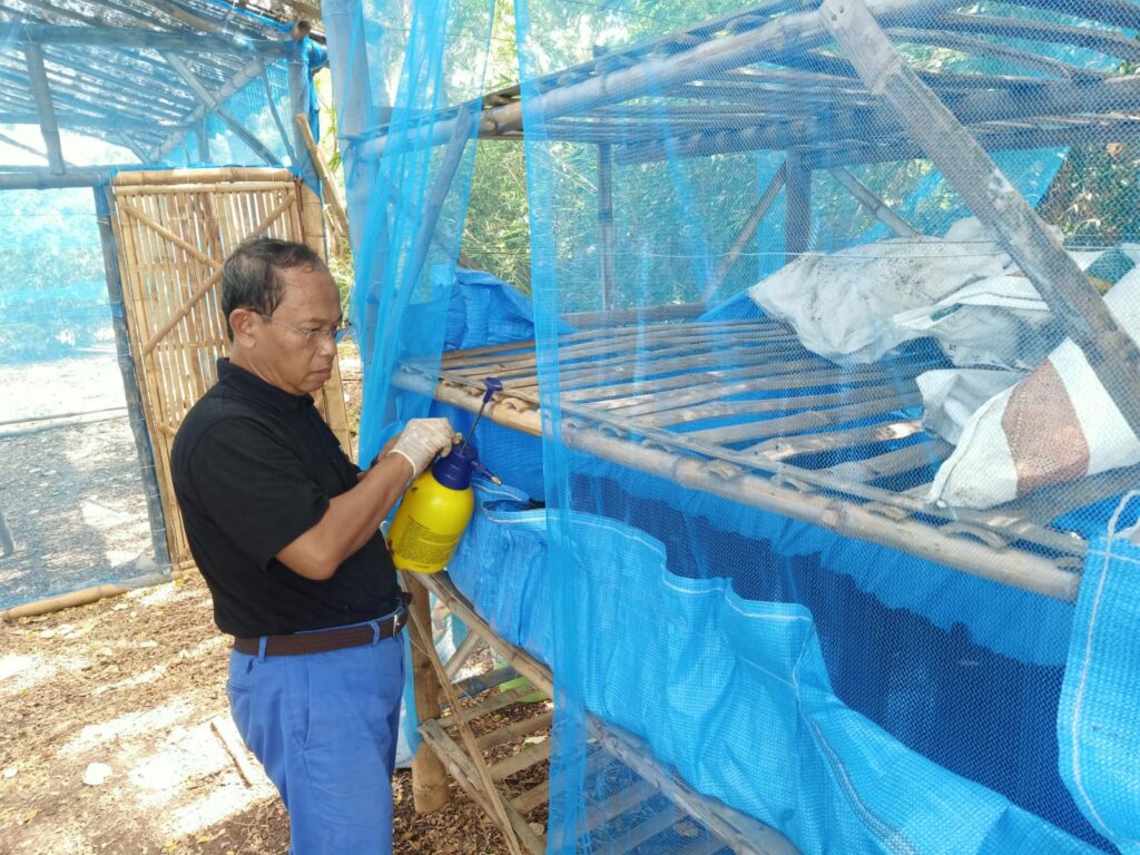 Proses penyemprotan cairan probiotik EM4 guna menjaga kelembapan media budidaya cacing