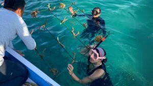 ITS Dorong Peran Perempuan dalam Pelestarian Ekosistem Laut