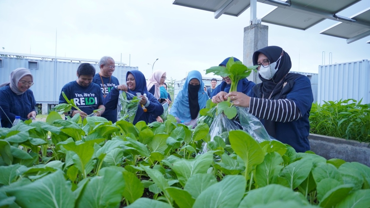 Members of the ITS academic community enjoying the fresh produce harvested from the smart agrivoltaic garden.
