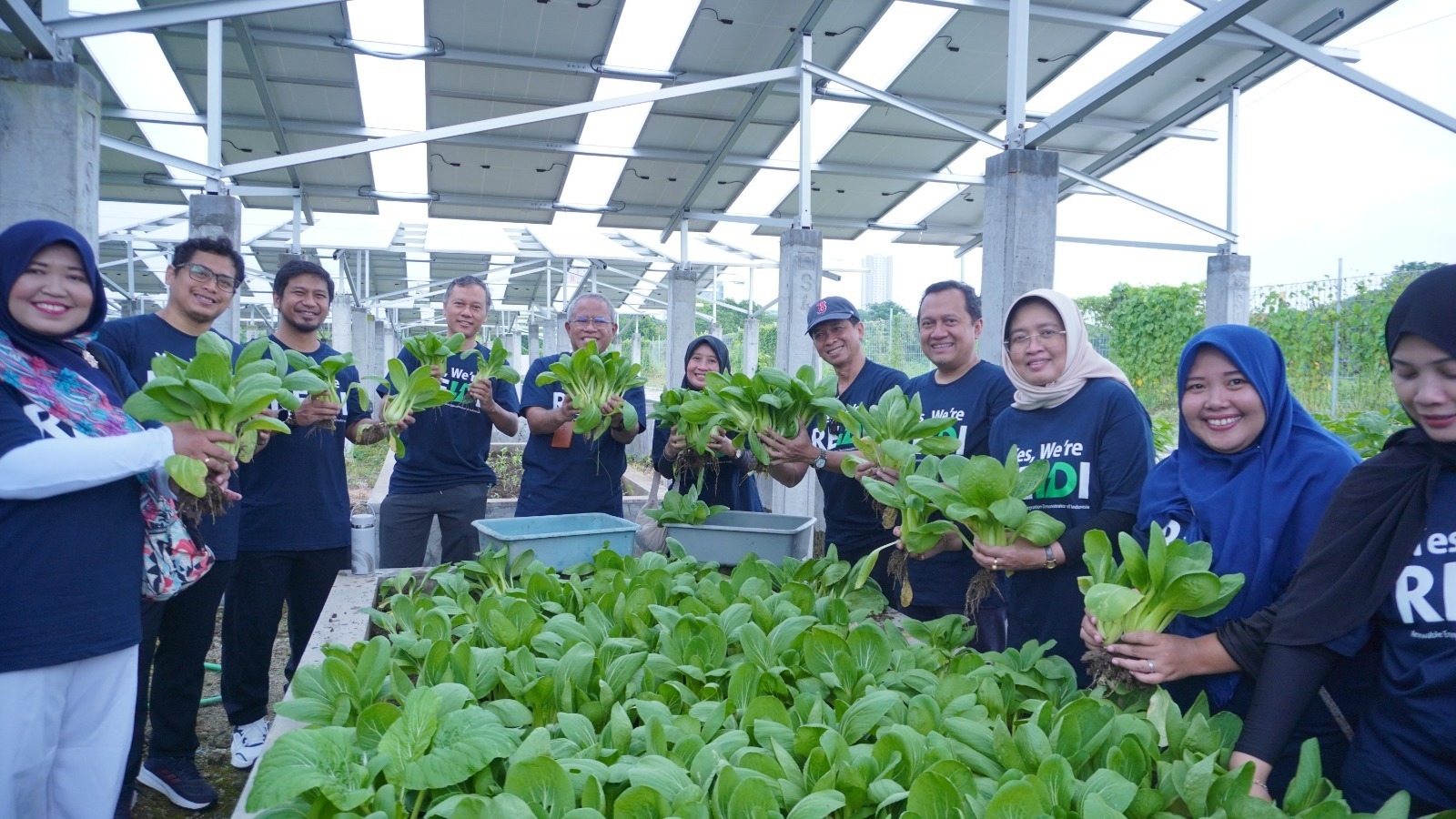 ITS Rector Prof. Dr. (HC) Ir. Bambang Pramujati, ST., MSc. Eng., PhD. (in hat), accompanied by university leadership and members of the ITS academic community, harvesting vegetables at the REIDI agrivoltaic garden area.