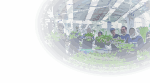 panen-inovasi-dan-harapan-di-kebun-smart-agrivoltaic-its