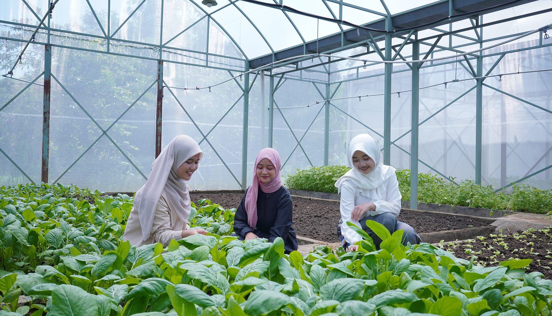 ITS Hijau