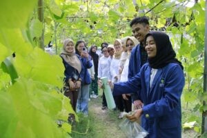 Mahasiswa ITS Ciptakan Inovasi Nanopestisida Tahan Hujan dan UV