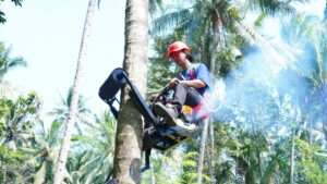 Mocits Bantu Petani Kelapa Panen Lebih Aman dan Efisien