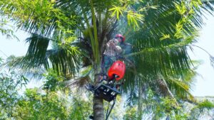 Kampus Tak Cukup Jago Riset, Menteri Amran Ajak ITS Turun ke Sawah Bangun Kemandirian Pangan