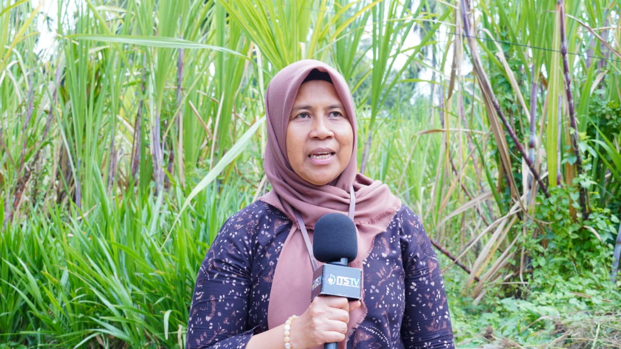 Gambar Perwakilan dari Badan Perakitan dan Modernisasi Pertanian, Kementerian Pertanian RI di Jawa Timur Dr Ismatul Hidayah SP MP turut menyaksikan uji coba Mocits di Sentra Kelapa Lumajang
