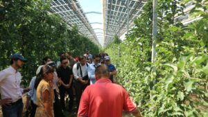 Belajar dari Jerman, ITS Perkuat Pengembangan Agrivoltaik dan Investasi Energi Surya