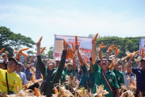 ITS Berhasil Panen 10 Ton Jagung Varietas MTE 09