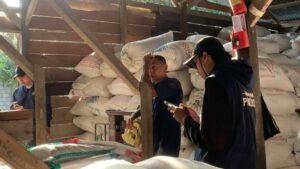 Tekan Biaya Operasional Pertanian, TEP 13 ITS Bangun PLTS di Papua
