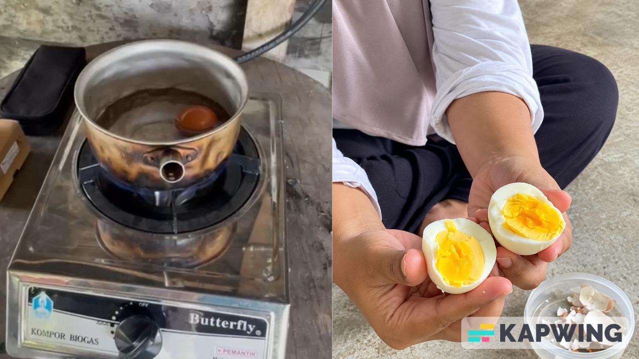 Kompor biogas diuji coba memasak telur rebus dan hasil setelahnya