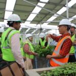 Tinjau Potensi Transisi Energi, PTB-GIZ kunjungi REIDI ITS