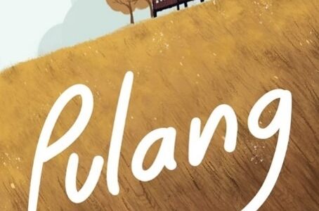 Novel Pulang