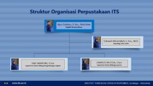 Struktur organisasi