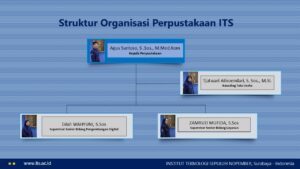 Struktur Organisasi