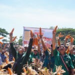 ITS Berhasil Panen 10 Ton Jagung Varietas MTE 09