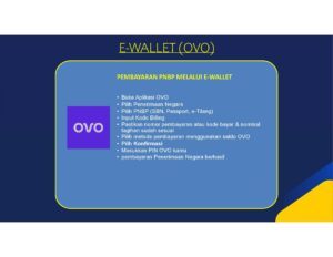 E-wallet OVO