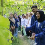 Mahasiswa ITS Ciptakan Inovasi Nanopestisida Tahan Hujan dan UV