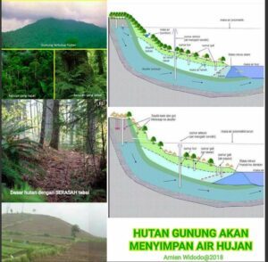 PUISI PANEN BENCANA