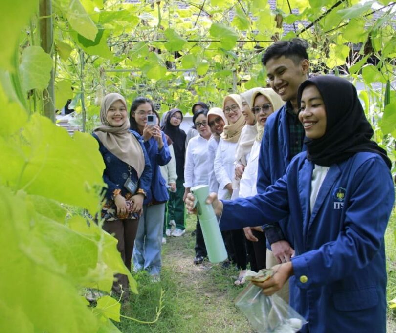 Proses-pemantauan-dan-penyemprotan-DNF@S-MSN-CS-pada-tanaman-labu-di-lapangan