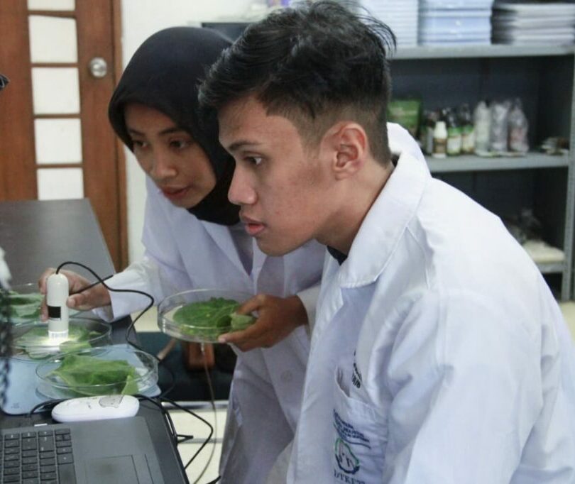 Putri-Mulia-Hafiy-Dzikrullah-kiri-bersama-rekan-peneliti-DNF@S-MSN-CS-Itsar-Aristo-Trinova-saat-melakukan-mengidentifikasi-pengaruh-DNF@S-MSN-CS-pada-tanaman-labu