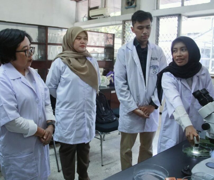 dari-kanan-Putri-Mulia-Hafiy-Dzikrullah-Itsar-Aristo-Trinova-Nurul-Faizah-STrT-MT-dan-Ari-Ika-Sari-SP-MAgr-mengamati-daun-tanaman-labu-yang-telah-disemprot-DNF@S-MSN