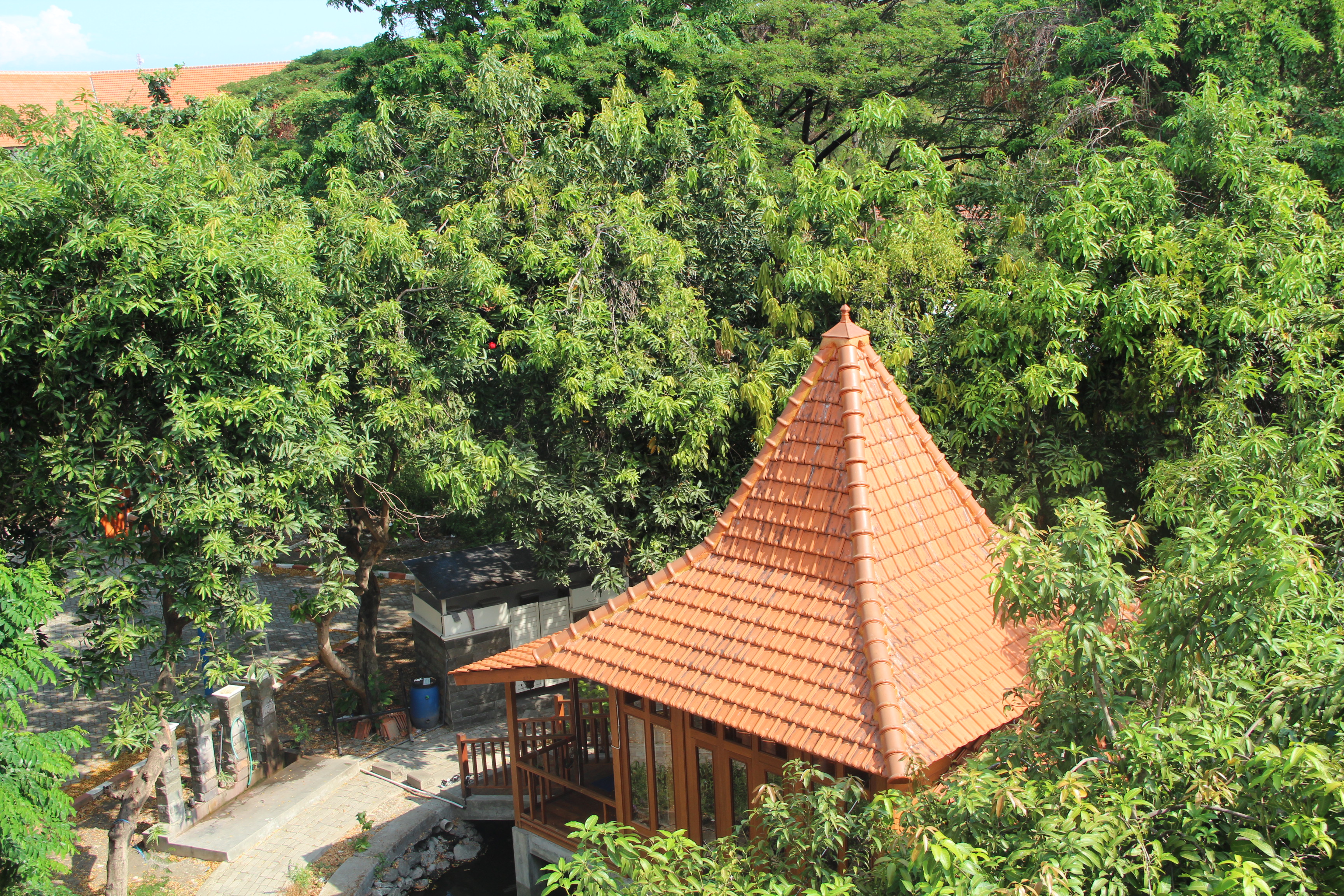 Organisasi