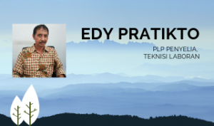 edy pratikto